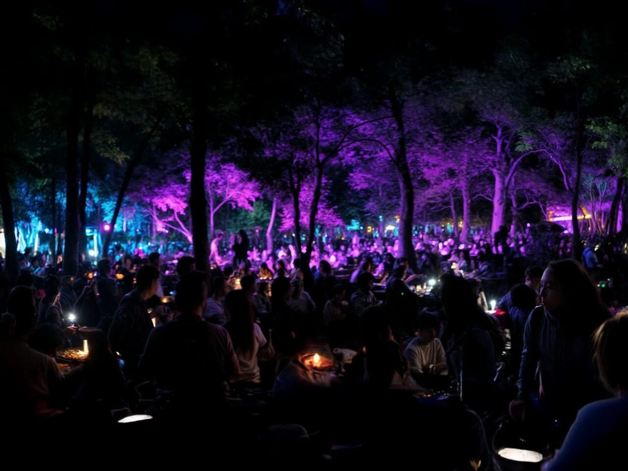 picnic nocturno chapultepec 2025