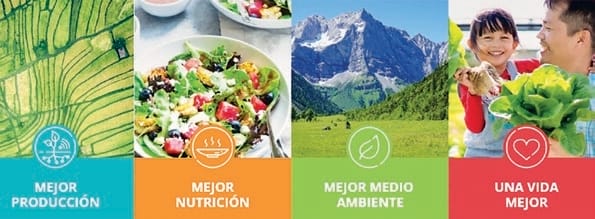Imagen con pilares de sostenibilidad: producción, nutrición, ambiente sano y vida saludable.