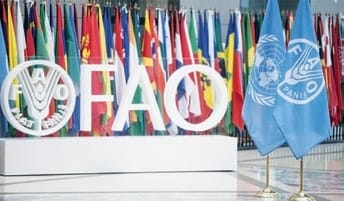 Logotipo de FAO con banderas de países y banderas de la ONU en evento internacional