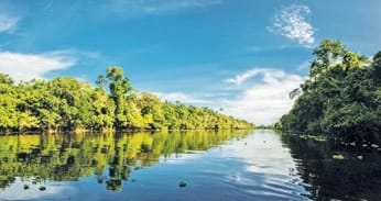 Río rodeado de selva tropical y cielo azul en paisaje de restauración de ecosistemas