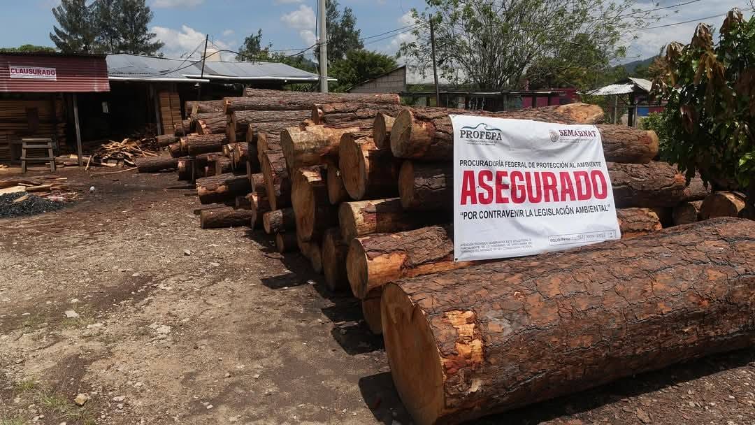 Las fábricas de celulosa y papel, algunas cambiaron de ubicación y nombre, otras cerraron y las que eran de propiedad federal se remataron entre los amigos del presidente en turno