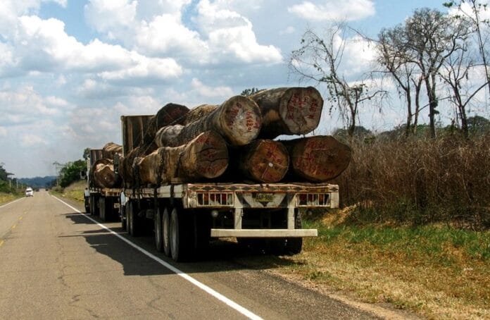 Es determinante lograr beneficio a los productores forestales, a las poblaciones rurales, mejoramiento de caminos y transporte