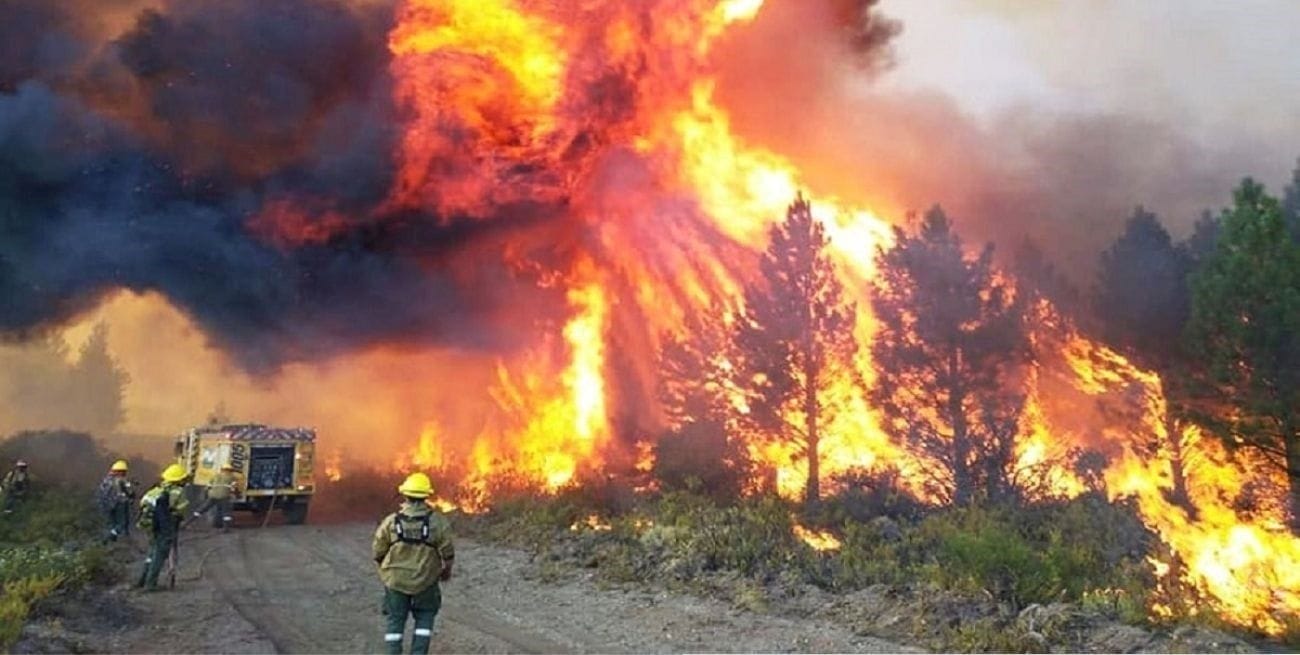 INVASIÓN SILENCIOSA DE BOSQUES,incendios forestales en miles de hectáreas de bosques nativos,tierras forestales que se quemaron por 30 años