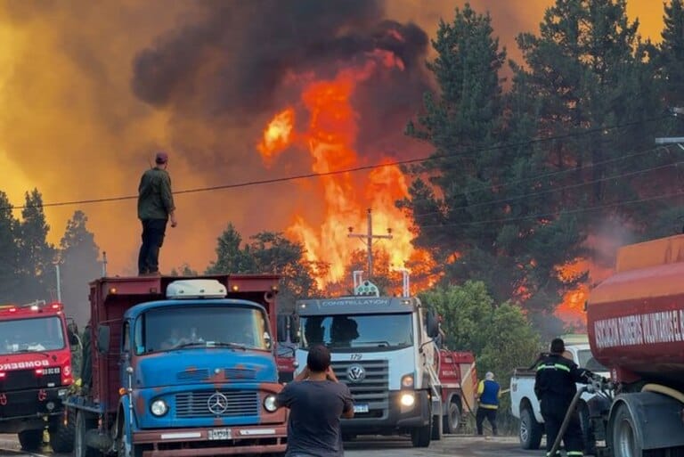 INVASIÓN SILENCIOSA DE BOSQUES,incendios forestales en miles de hectáreas de bosques nativos,tierras forestales que se quemaron por 30 años