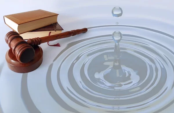 La legislación sobre el agua que ha prevalecido desde 1992, cuando Salinas de Gortari hizo numerosos cambios a la Constitución Política de los Estados Unidos Mexicanos (CPEUM), ha tenido algunos cambios cosméticos y pocos de trascendencia, a medias.
