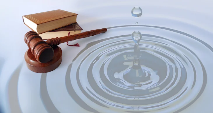 La legislación sobre el agua que ha prevalecido desde 1992, cuando Salinas de Gortari hizo numerosos cambios a la Constitución Política de los Estados Unidos Mexicanos (CPEUM), ha tenido algunos cambios cosméticos y pocos de trascendencia, a medias.