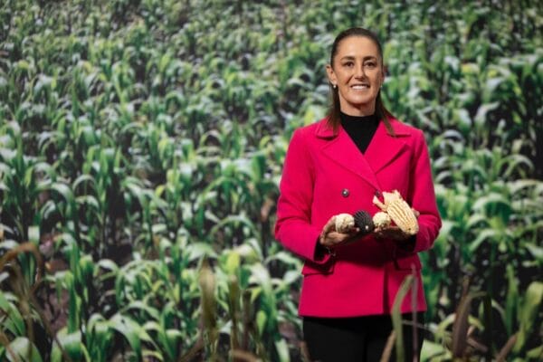 Presidenta Claudia Sheinbaum presenta programa nacional maíz nativo en Palacio Nacional