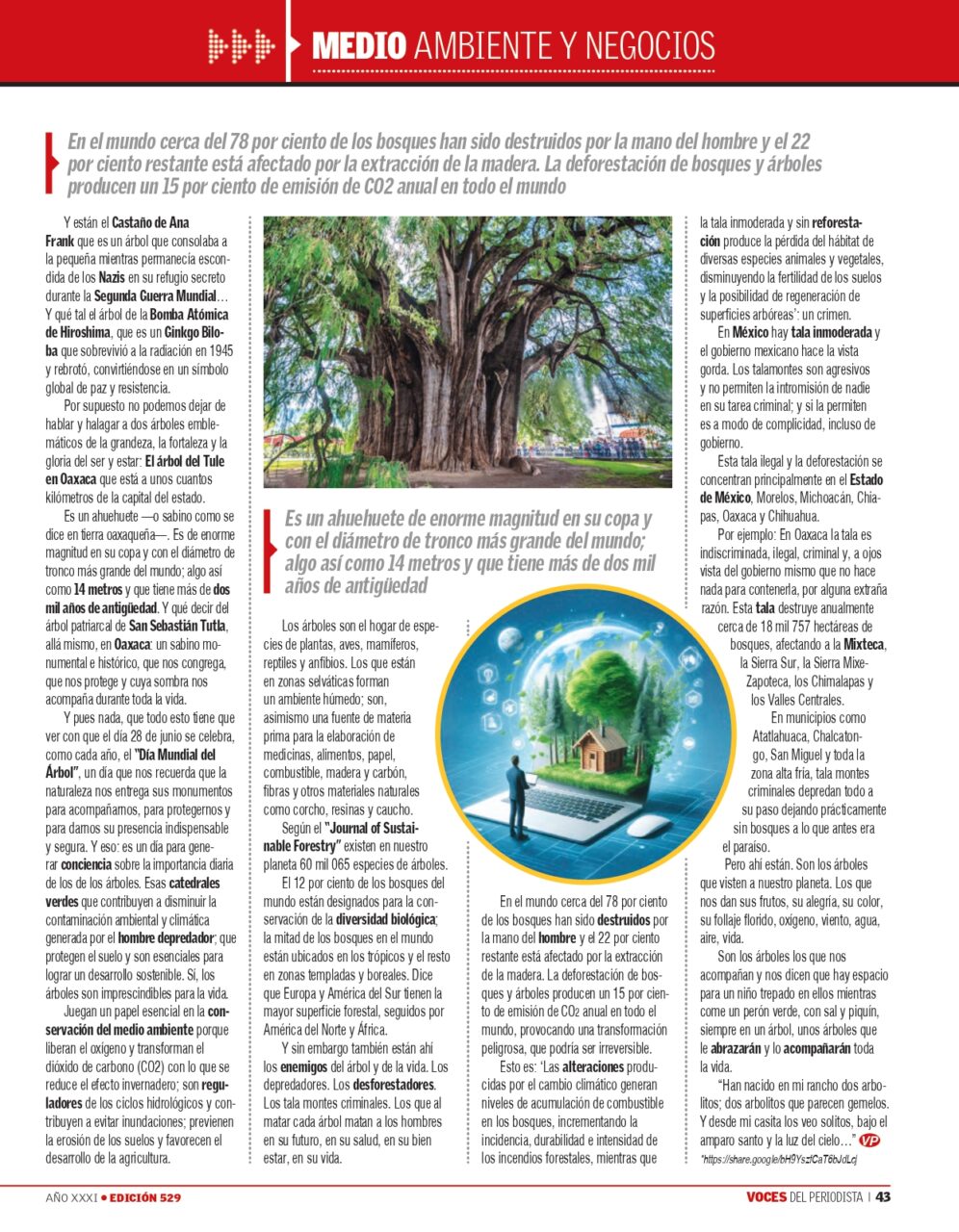 voces del periodista edición 529 page 0043