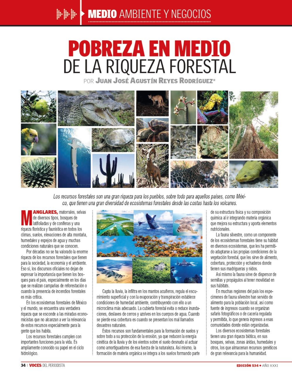 voces del periodista edición 534 page 0034